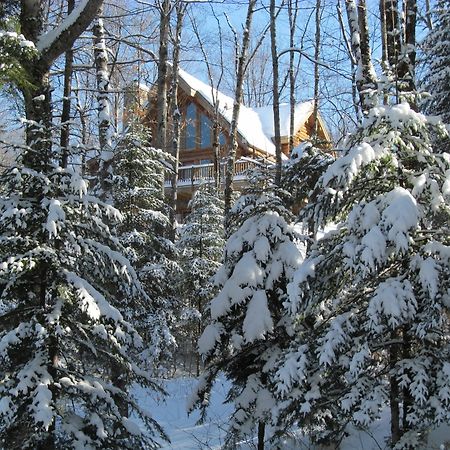 Blueberry Lake Resort Labelle Exteriér fotografie