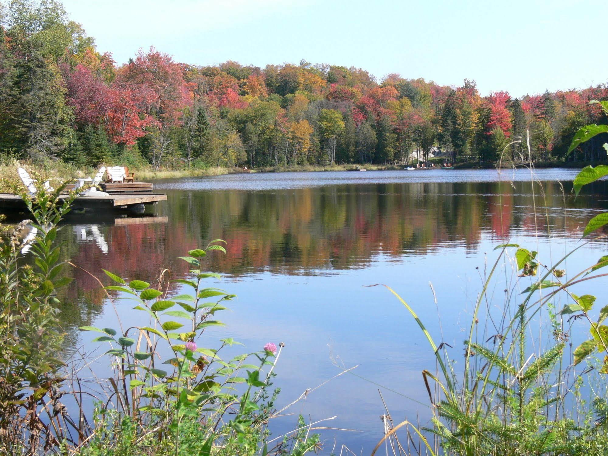 Blueberry Lake Resort Labelle Exteriér fotografie
